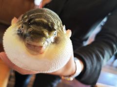 -永安鱼庄·镇江菜(丁卯店)