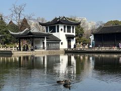 -红梅公园
