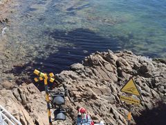 -秦皇岛秦皇国际大酒店