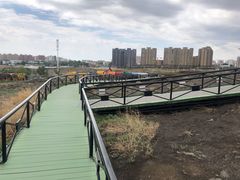 -黑油山景区