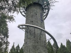 -黄海国家森林公园