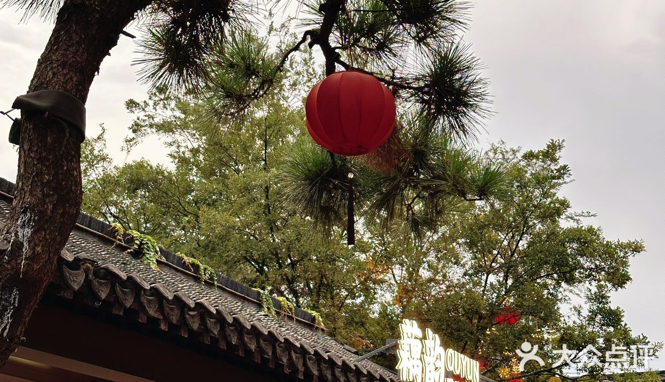 🪷藕韵｜漫过青石板，让整个园子都沉醉荷香