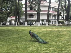 -西昌邛海宾馆