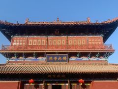-大槐树寻根祭祖园