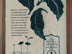 -星巴克臻选(成都宽窄巷子店)