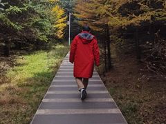 -芦芽山旅游度假区