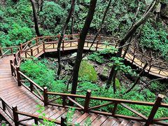 -大岭沟猕猴桃谷风景区