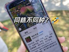 -杭州植物园