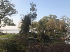 -杭州西湖柳莺里酒店·闻莺厅