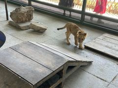 -秦皇岛野生动物园