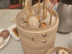 -金鼎轩(方庄天坛店)
