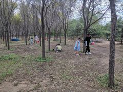 -北京鹿世界主题园