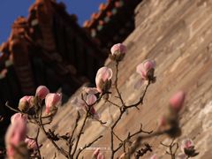 -东华门大街小区