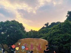 -大屏嶂森林公园