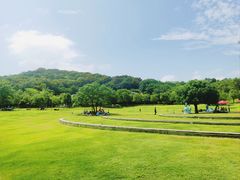 -牛岗山公园