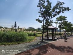 -上海山野camping·户外天幕烧烤·团建拓展营地