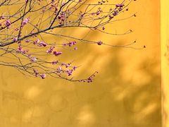 -慧因高丽寺