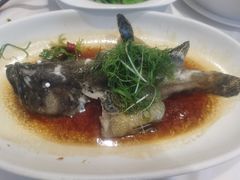 -山泉公馆酒家(珠江新城店)