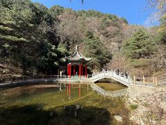 -王顺山国家森林公园