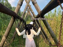 -溱湖国家湿地公园