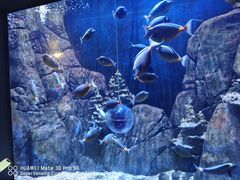 -成都浩海立方海洋公园