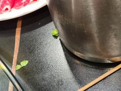 -常赢三兄弟·清真涮肉·清真炒菜(朝阳新城店)