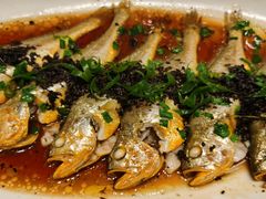 -舌尖上·霞浦滩涂海鲜·新闽菜(总店)