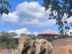 -沈阳森林动物园