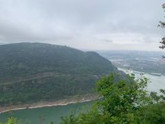 -铁山坪森林公园