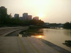-新江湾城公园