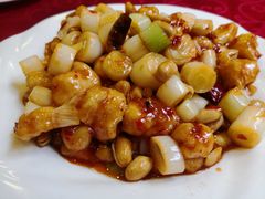 -老回回饺子馆(海洋馆店)