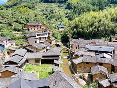 -杨家堂村