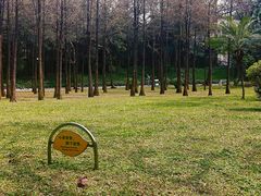 -晓港公园