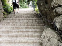 -王顺山国家森林公园