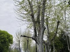-浙江大学(玉泉校区)