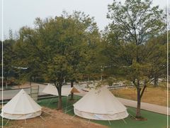 -洛阳市隋唐城遗址植物园