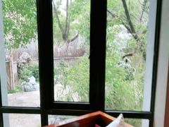 -香然会·园林雅宴(陆家嘴店)