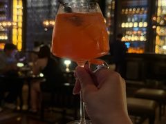 -四季酒店·空中花园 Aria on 9