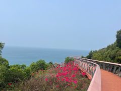 -东澳岛