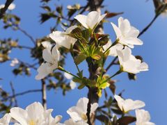 -昆山城市生态森林公园