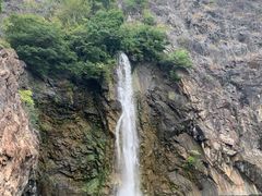 -上海辰山植物园