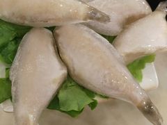 -朱氏胖子烂火锅(洪崖洞店)
