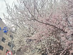 -新世界小天星幼儿园(尚景园)