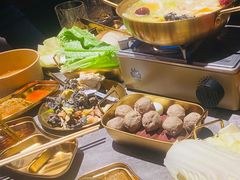 -Darling Queen·Mini·Live·House