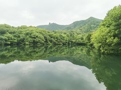 -杭州半山国家森林公园