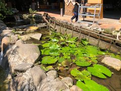 景观位-优之名鹅城