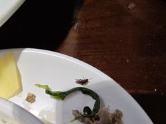 -鱼篮仔·潮汕美食(圆明新园店)