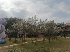 -观澜湖生态运动公社