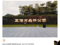 -王借岗森林公园
