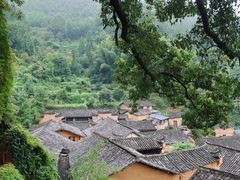 -杨家堂村